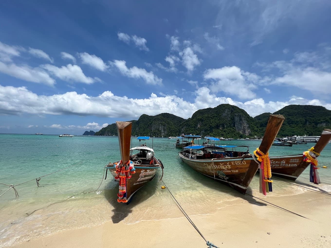 Private Charter Tours